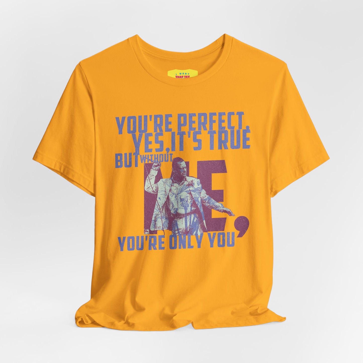 YOU'RE PERFECT, YES IT'S TRUE - FAITH NO MORE (Unisex Jersey Short Sleeve Tee)