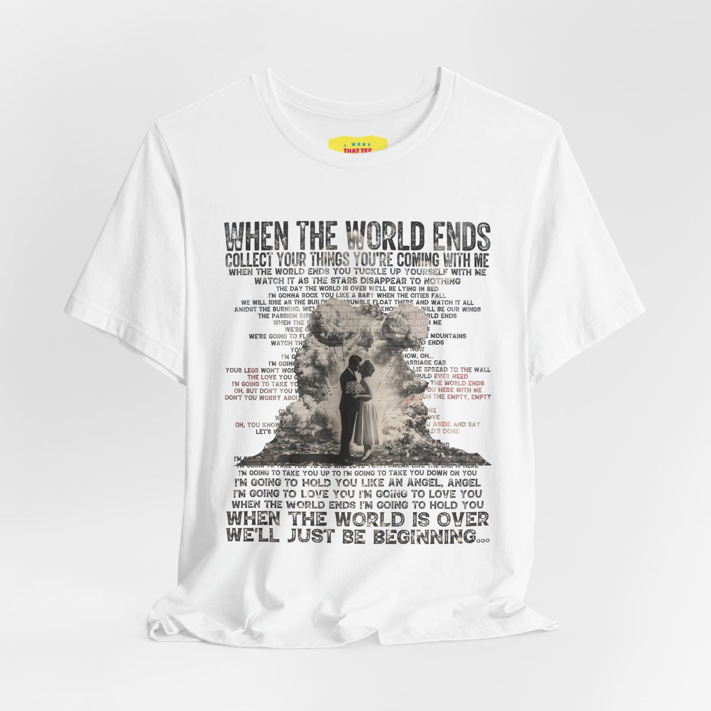 WHEN THE WORLD ENDS - DAVE MATTHEWS BAND (Unisex Jersey Short Sleeve Tee)