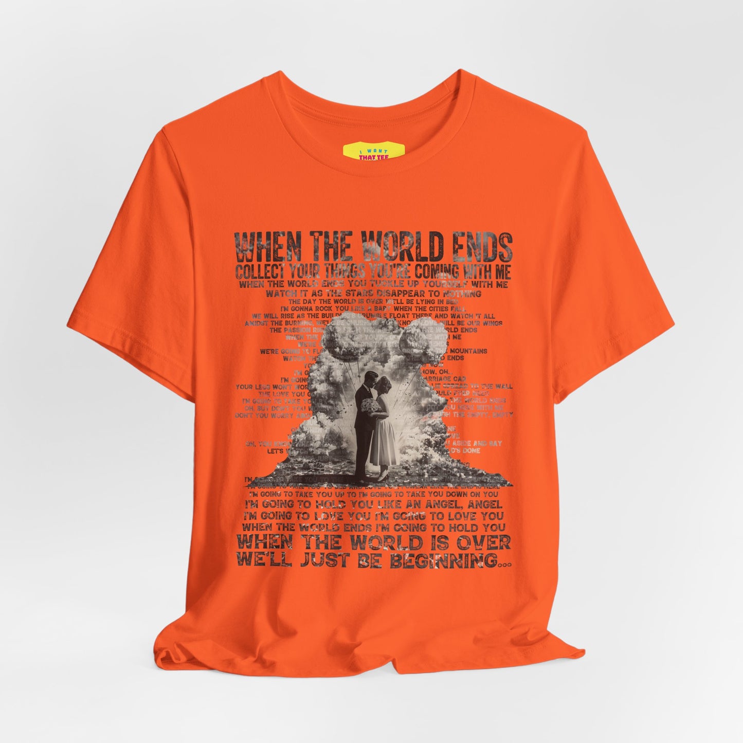 WHEN THE WORLD ENDS - DAVE MATTHEWS BAND (Unisex Jersey Short Sleeve Tee)