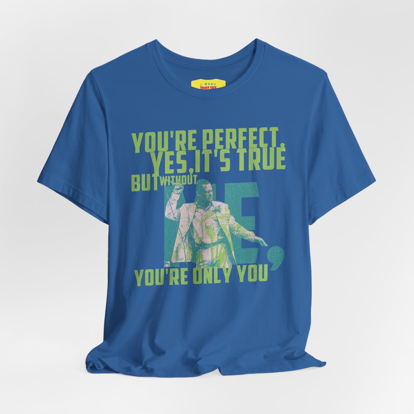 YOU'RE PERFECT, YES IT'S TRUE - FAITH NO MORE (Unisex Jersey Short Sleeve Tee)