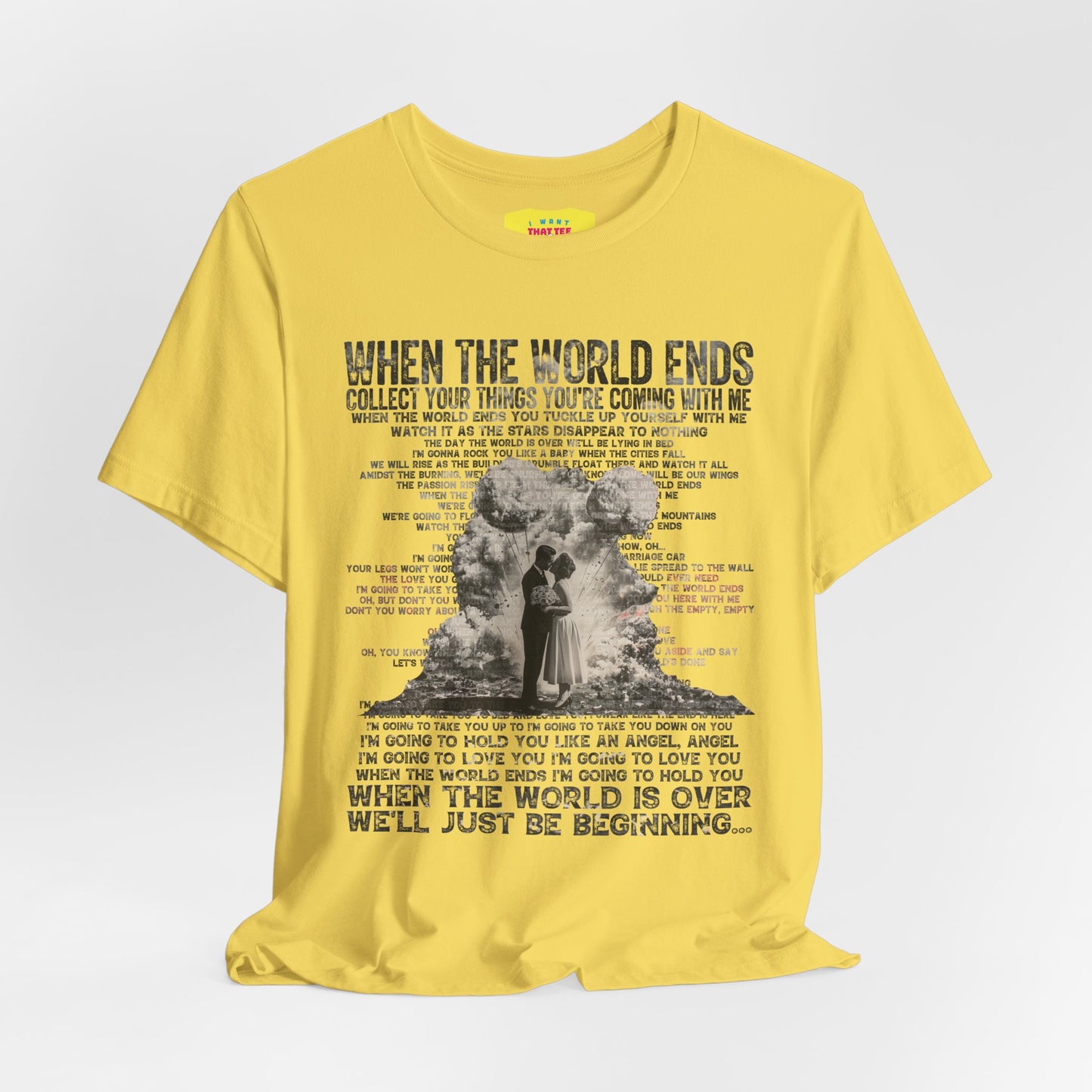 WHEN THE WORLD ENDS - DAVE MATTHEWS BAND (Unisex Jersey Short Sleeve Tee)