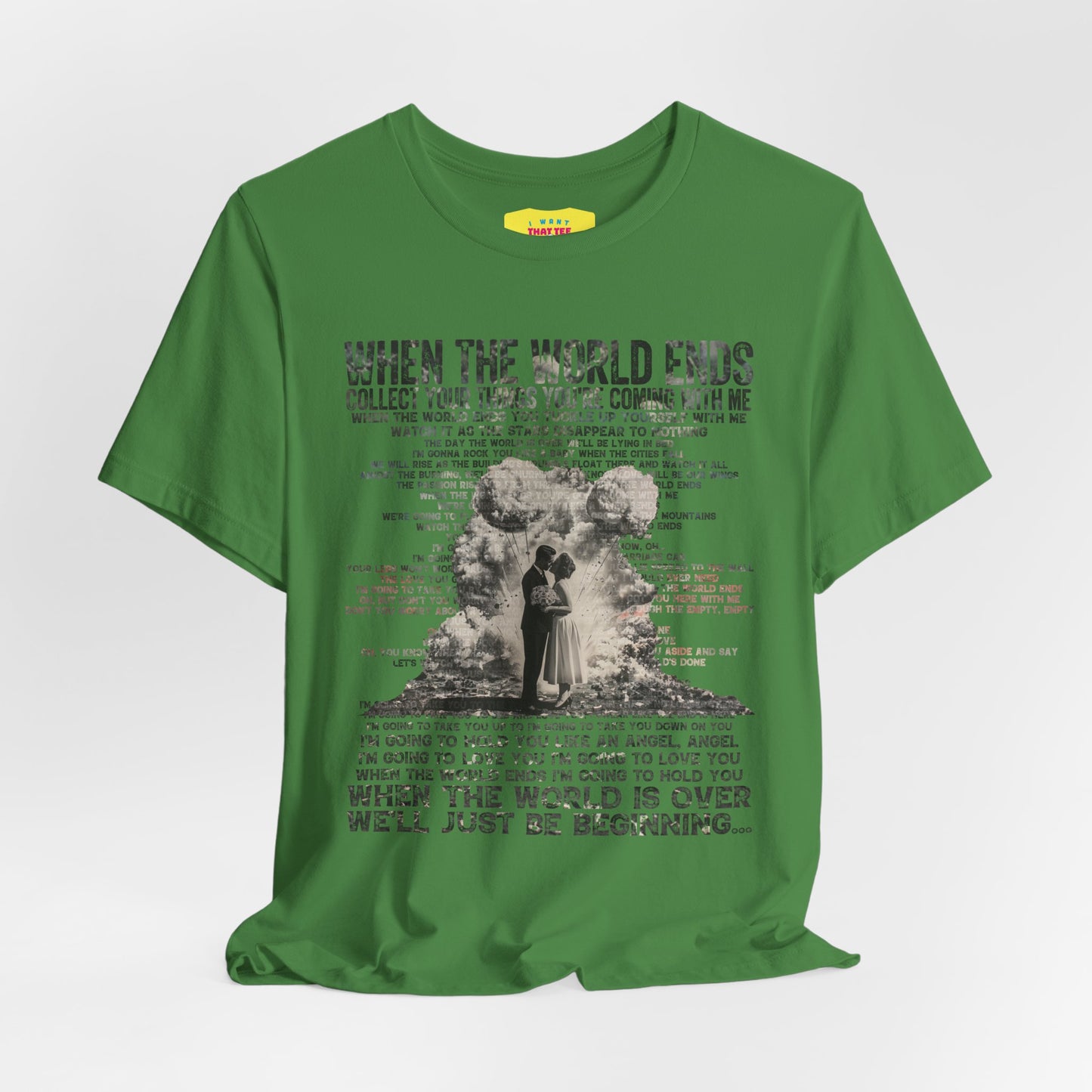 WHEN THE WORLD ENDS - DAVE MATTHEWS BAND (Unisex Jersey Short Sleeve Tee)