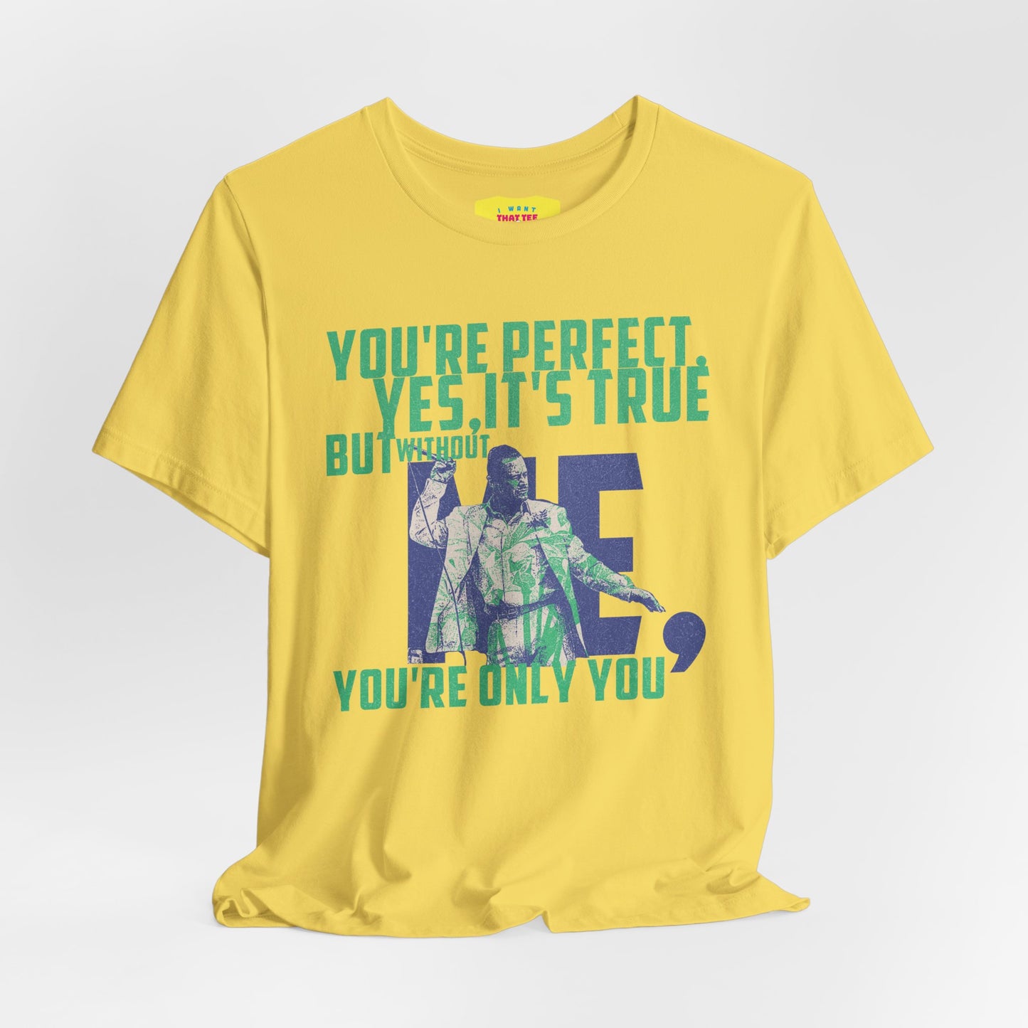 YOU'RE PERFECT, YES IT'S TRUE - FAITH NO MORE (Unisex Jersey Short Sleeve Tee)