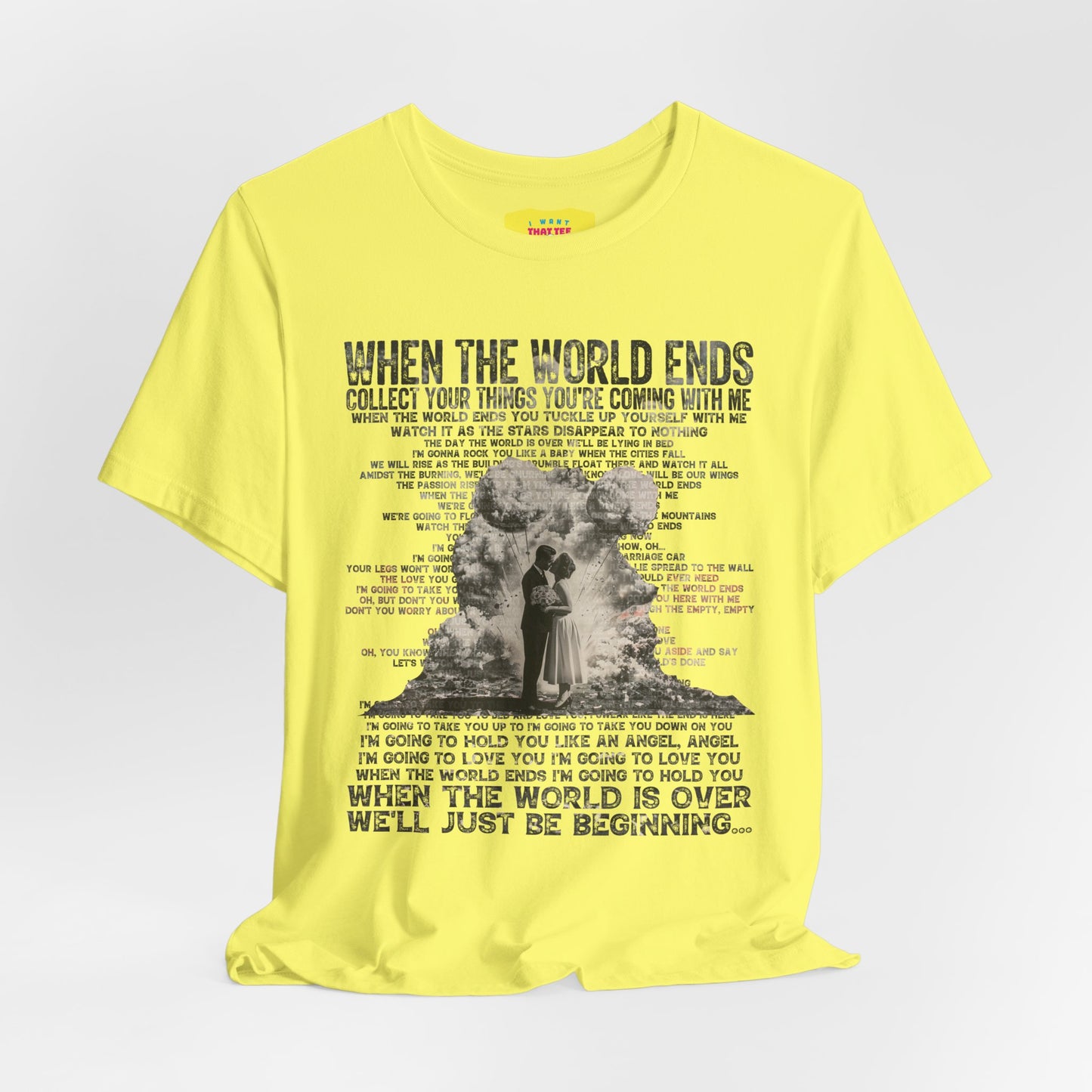 WHEN THE WORLD ENDS - DAVE MATTHEWS BAND (Unisex Jersey Short Sleeve Tee)