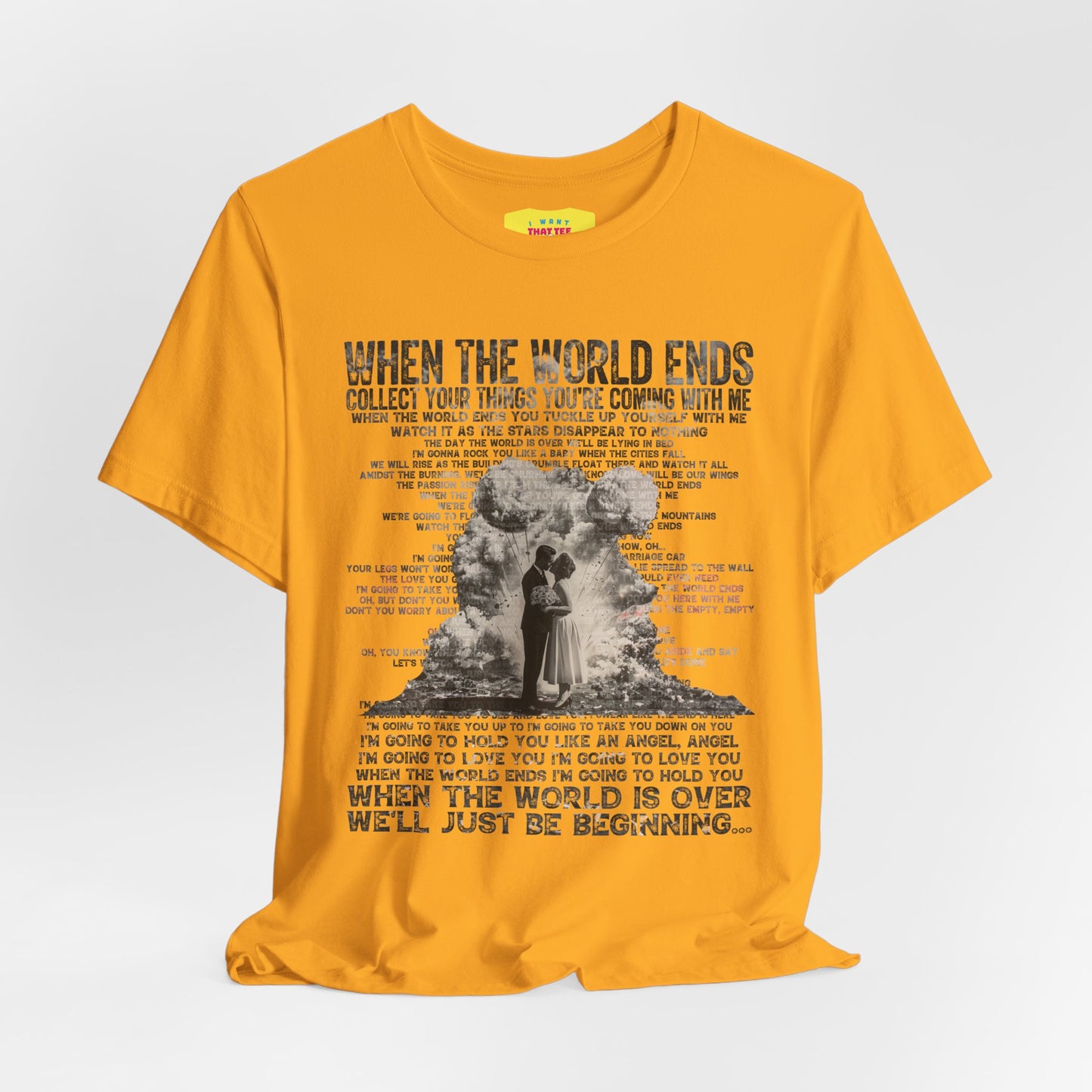 WHEN THE WORLD ENDS - DAVE MATTHEWS BAND (Unisex Jersey Short Sleeve Tee)